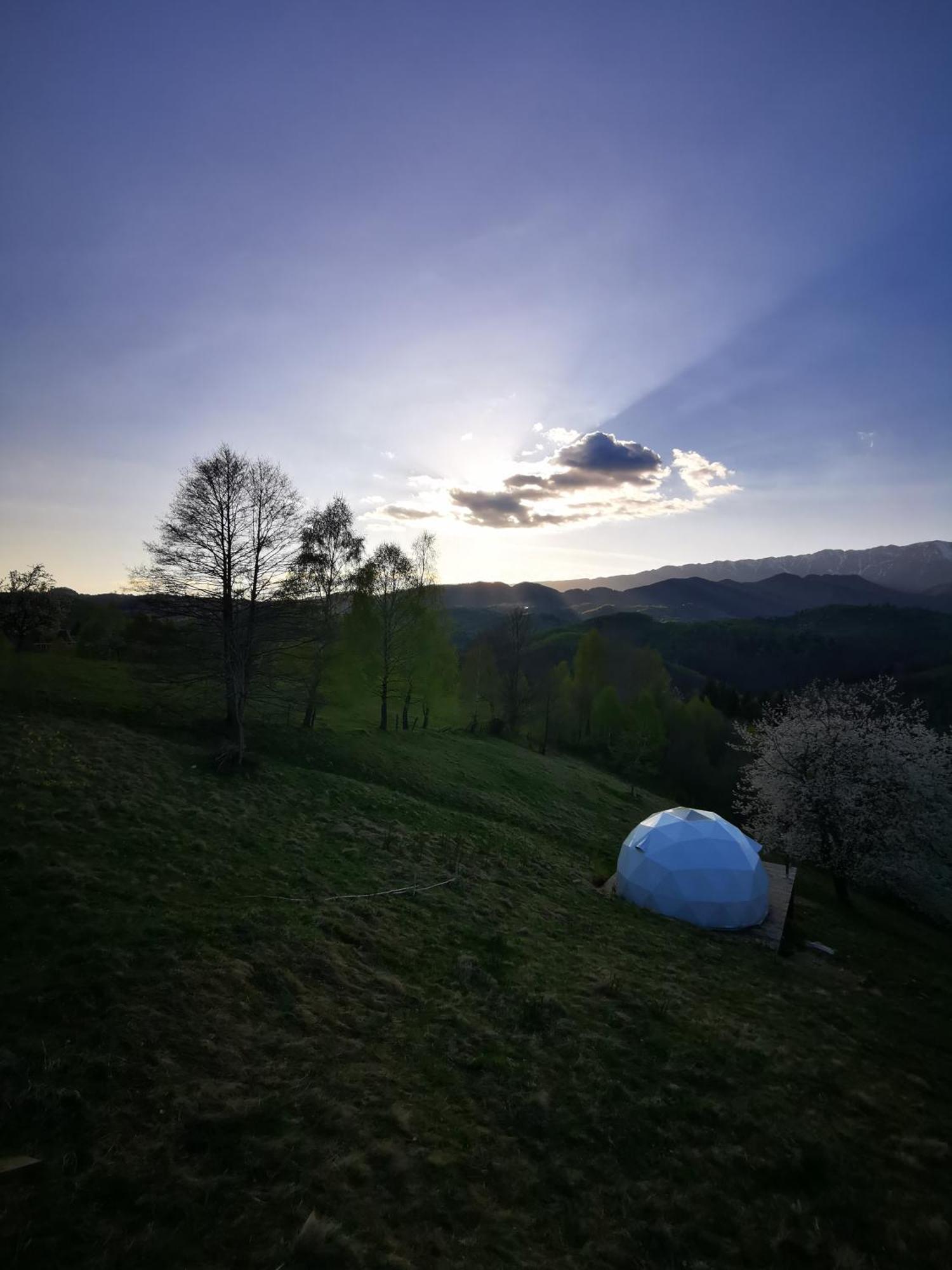 Glamping Zazen Hotel Drumu Carului Exterior photo
