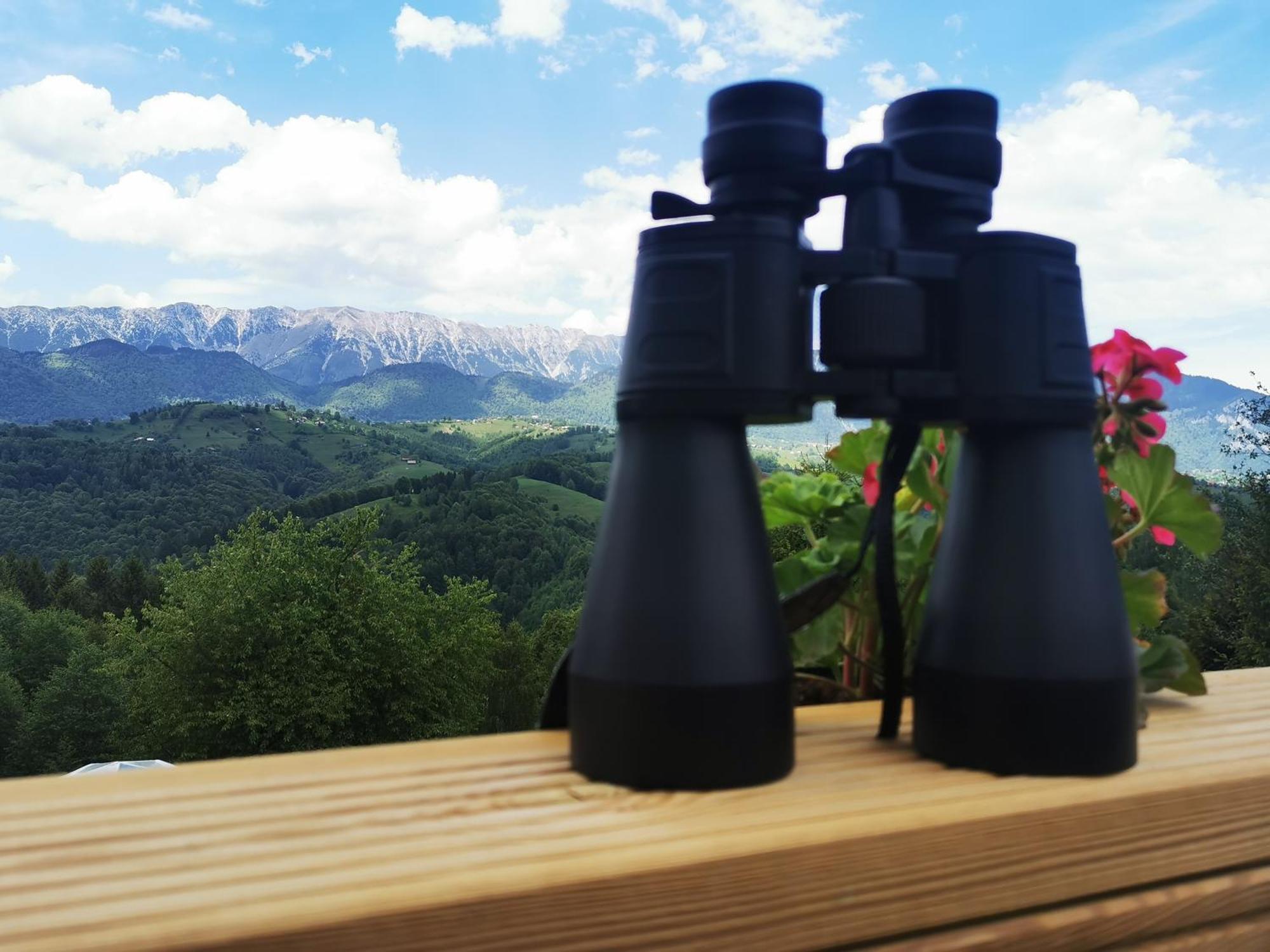 Glamping Zazen Hotel Drumu Carului Exterior photo